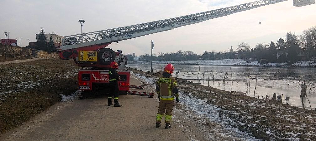 Nietypowa akcja w Krakowie! Strażacy uwolnili łabędzia przymarzniętego do Wisły. Zobacz szczegóły ratunku i reakcję mieszkańców.