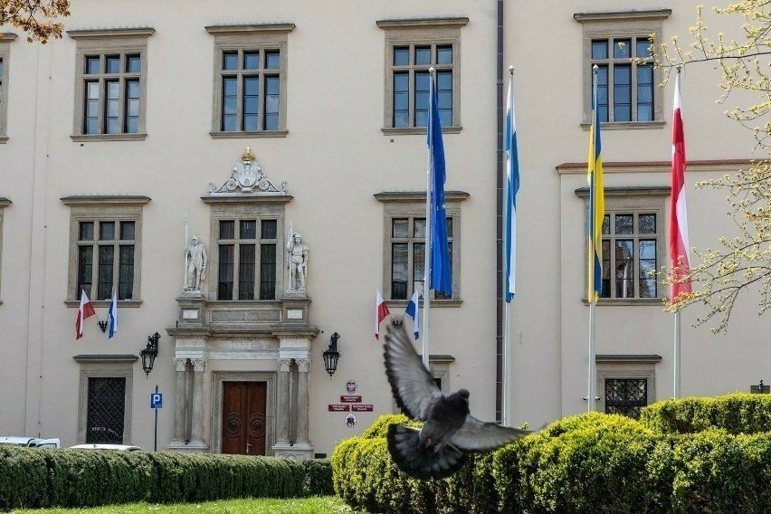 Tysiąc klientów oceni krakowski magistrat. Urząd pyta mieszkańców, co działa dobrze, a co trzeba zmienić